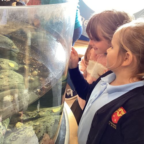 KS1 Trip to Northam Burrows